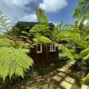 A Flanc De Colline Chalet Le Morne-Rouge