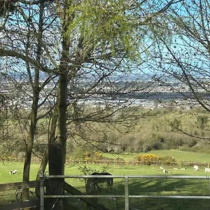 Cozy In A Barn With Farm View Landhuis
